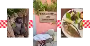 L'Endroit - restaurant FRONTIGNAN - restaurant a faire FRONTIGNAN